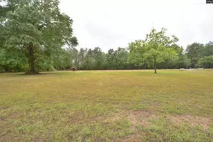 1005 Hwy 178, Pelion, SC 29123 - Photo 6