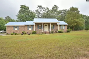1005 Hwy 178, Pelion, SC 29123 - Photo 2