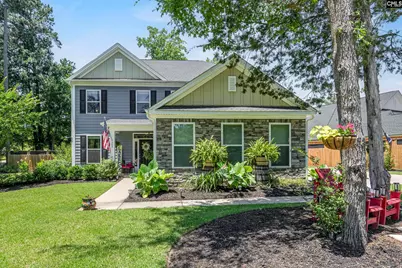 303 Pine Meadow Drive, Chapin, SC 29036 - Photo 2