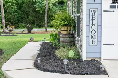 303 Pine Meadow Drive, Chapin, SC 29036 - Photo 6