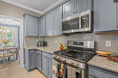 303 Pine Meadow Drive, Chapin, SC 29036 - Photo 8