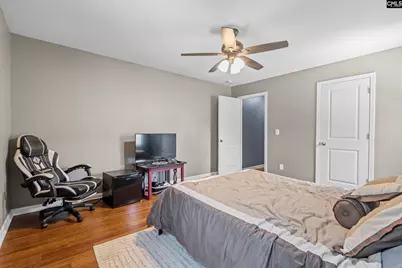 303 Pine Meadow Drive, Chapin, SC 29036 - Photo 36