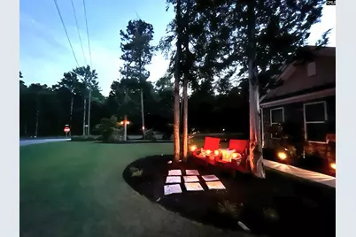 303 Pine Meadow Drive, Chapin, SC 29036 - Photo 62
