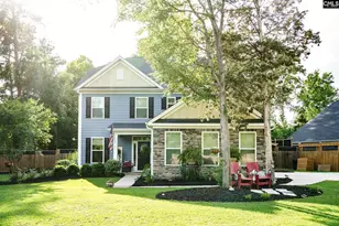 303 Pine Meadow Dr, Chapin, SC 29036 - Photo 2