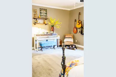 303 Pine Meadow Drive, Chapin, SC 29036 - Photo 24