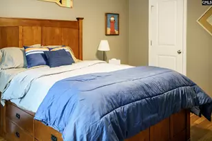 303 Pine Meadow Dr, Chapin, SC 29036 - Photo 38