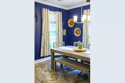 303 Pine Meadow Drive, Chapin, SC 29036 - Photo 12