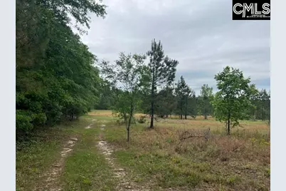 Fox Young Road, Wagener, SC 29164 - Photo 6