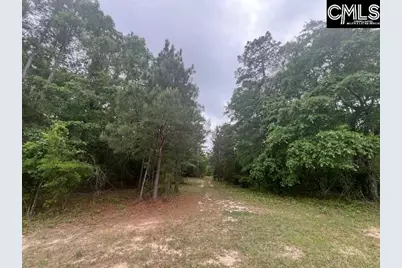 Fox Young Road, Wagener, SC 29164 - Photo 12