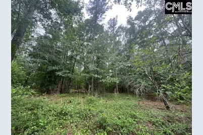Fox Young Road, Wagener, SC 29164 - Photo 10