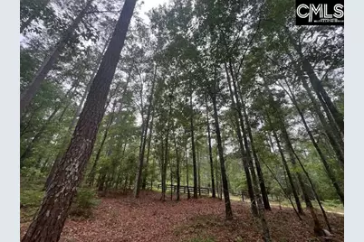 Fox Young Road, Wagener, SC 29164 - Photo 16