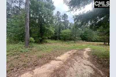 Fox Young Road, Wagener, SC 29164 - Photo 2