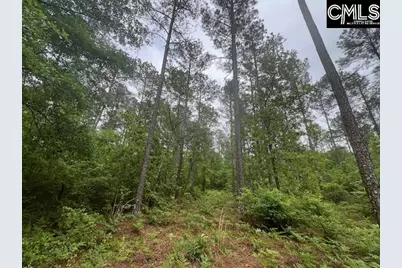 Fox Young Road, Wagener, SC 29164 - Photo 28