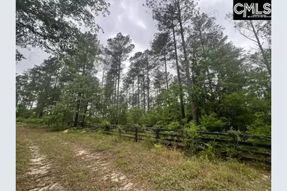 Fox Young Road, Wagener, SC 29164 - Photo 20