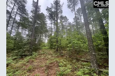 Fox Young Road, Wagener, SC 29164 - Photo 48