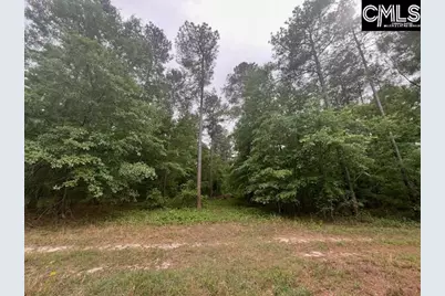 Fox Young Road, Wagener, SC 29164 - Photo 8