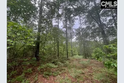 Fox Young Road, Wagener, SC 29164 - Photo 56