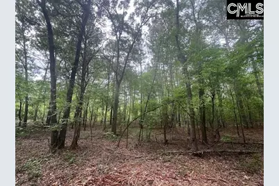Fox Young Road, Wagener, SC 29164 - Photo 46