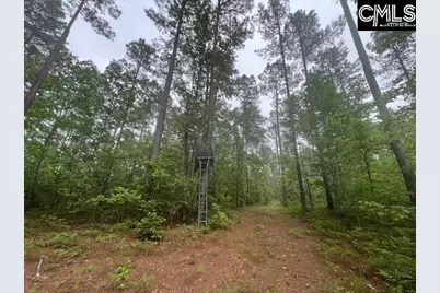 Fox Young Road, Wagener, SC 29164 - Photo 38
