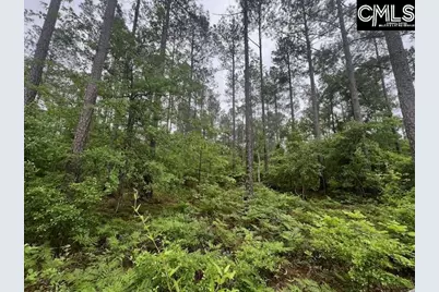Fox Young Road, Wagener, SC 29164 - Photo 24