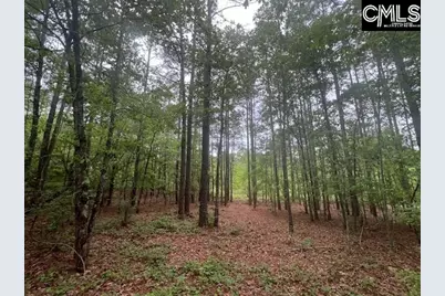 Fox Young Road, Wagener, SC 29164 - Photo 50