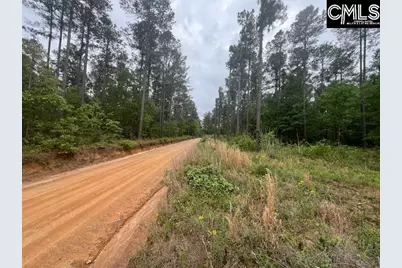 Fox Young Road, Wagener, SC 29164 - Photo 58