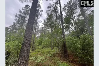 Fox Young Road, Wagener, SC 29164 - Photo 22