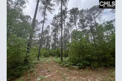 Fox Young Road, Wagener, SC 29164 - Photo 36