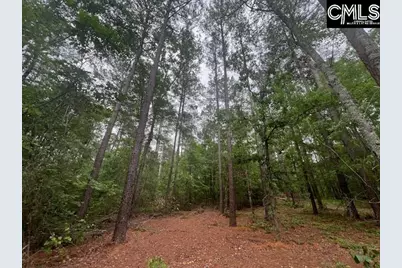 Fox Young Road, Wagener, SC 29164 - Photo 4
