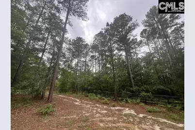 Fox Young Road, Wagener, SC 29164 - Photo 18