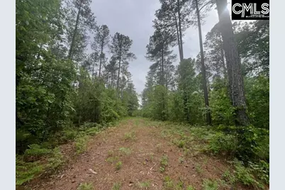 Fox Young Road, Wagener, SC 29164 - Photo 32