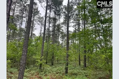 Fox Young Road, Wagener, SC 29164 - Photo 34