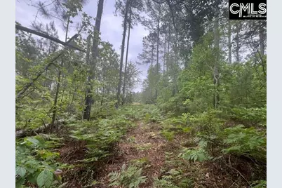 Fox Young Road, Wagener, SC 29164 - Photo 54