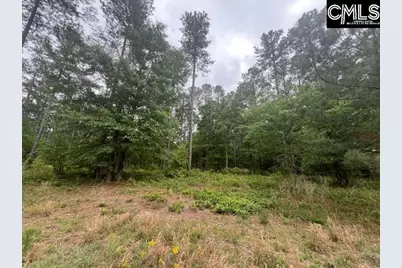 Fox Young Road, Wagener, SC 29164 - Photo 1