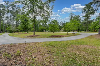 133 Tam O Shanter Drive, Blythewood, SC 29016 - Photo 4