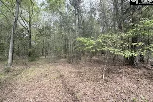 0 Kennerly Rd, Irmo, SC 29063 - Photo 6