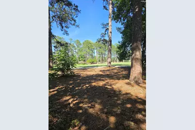 104 Creekside Cottage Court, Blythewood, SC 29016 - Photo 42