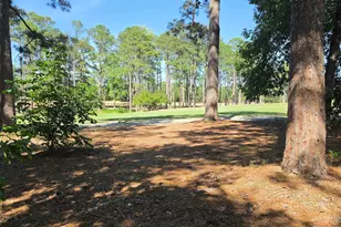 104 Creekside Cottage Ct, Blythewood, SC 29016 - Photo 6