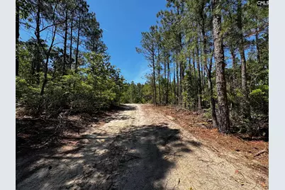 0 Sawyer Road, Monetta, SC 29105 - Photo 18