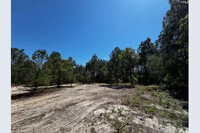 0 Sawyer Road, Monetta, SC 29105 - Photo 20
