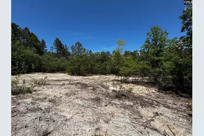 0 Sawyer Road, Monetta, SC 29105 - Photo 24