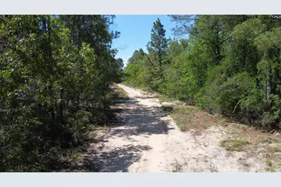 0 Sawyer Road, Monetta, SC 29105 - Photo 12
