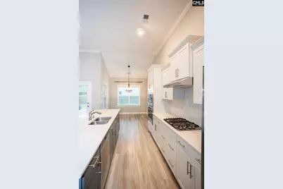 791 Ruskin Drive, Chapin, SC 29036 - Photo 28