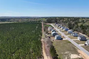 114 Tall Pnes Rd, Gaston, SC 29053 - Photo 38