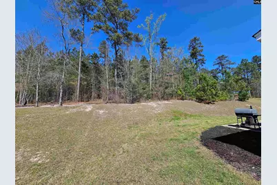 114 Tall Pines Road, Gaston, SC 29053 - Photo 34