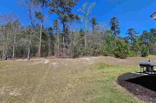 114 Tall Pnes Rd, Gaston, SC 29053 - Photo 34