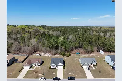 114 Tall Pines Road, Gaston, SC 29053 - Photo 36