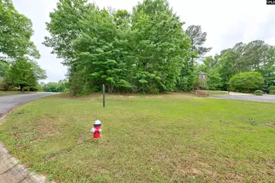 1 Aderley Court, Irmo, SC 29063 - Photo 2