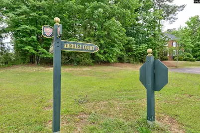 1 Aderley Court, Irmo, SC 29063 - Photo 1