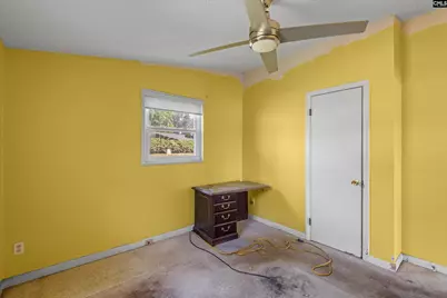 133 Williams Way, Chapin, SC 29036 - Photo 20